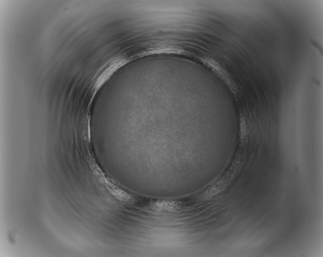 X0000101111274200806261404