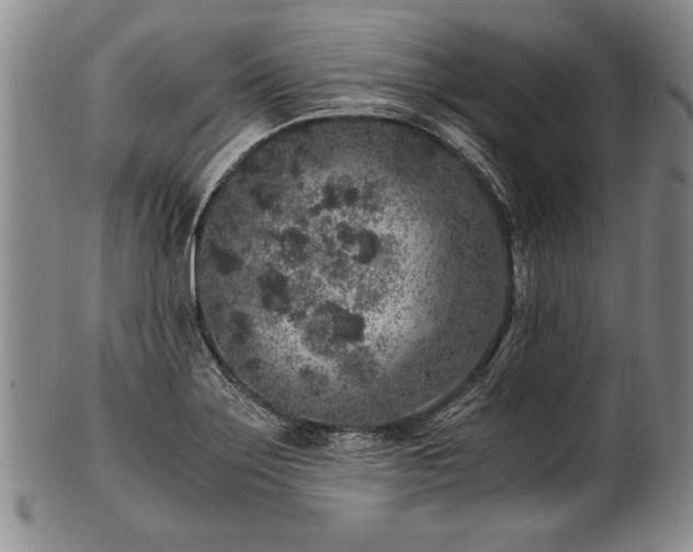 X0000101111275200806261404