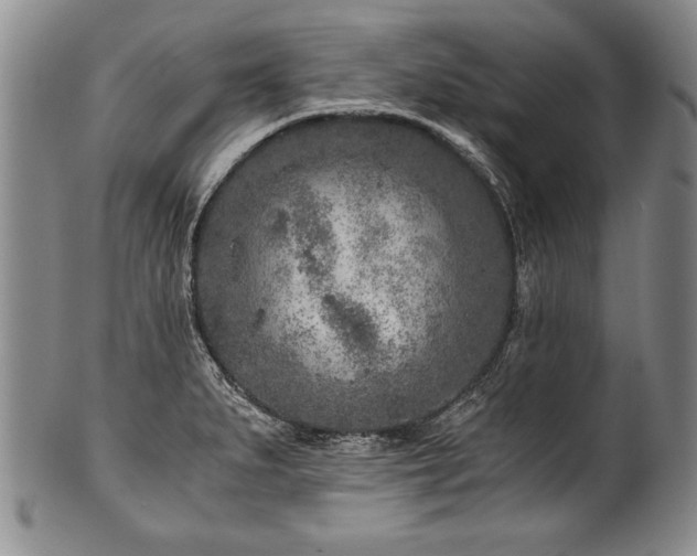 X0000101111279200806261404