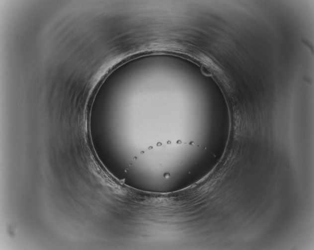 X0000101111280200806261404