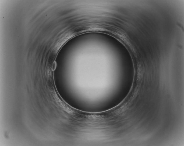 X0000101111281200806261404