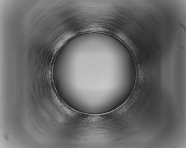 X0000101111282200806261404