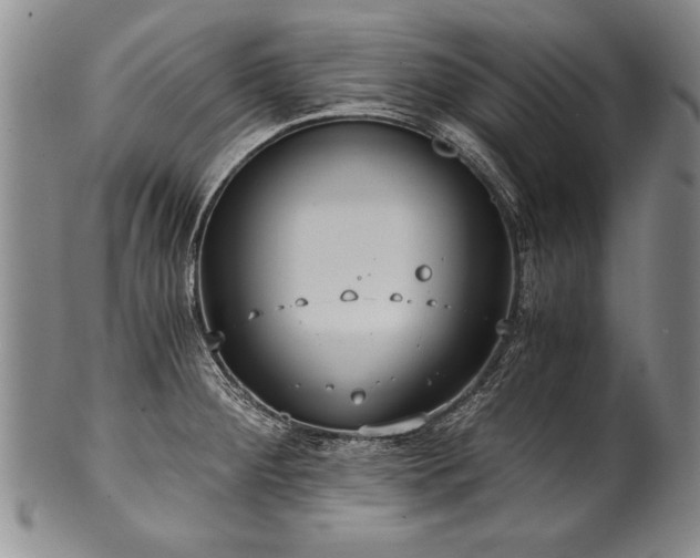 X0000101111284200806261404