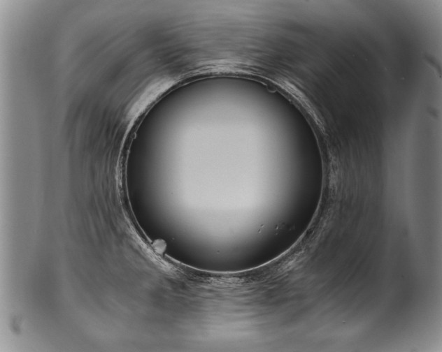 X0000101111285200806261404