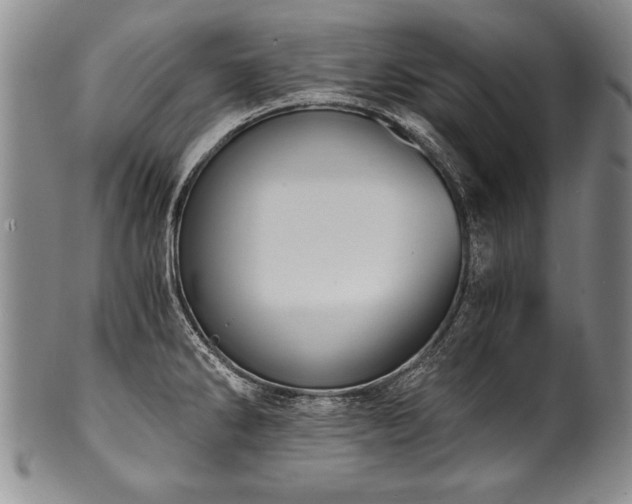 X0000101111286200806261404