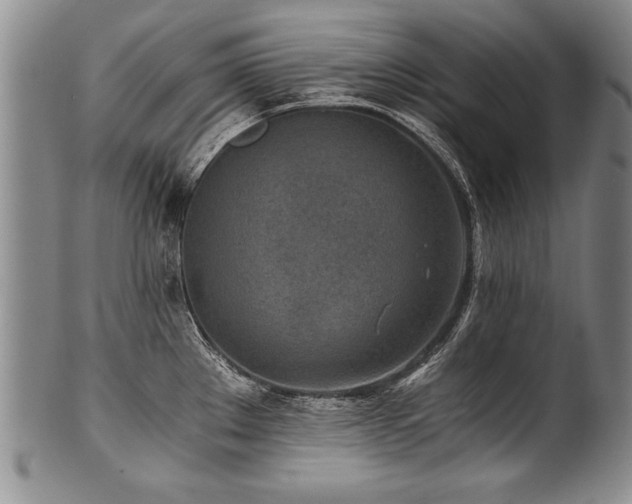 X0000101111289200806261404