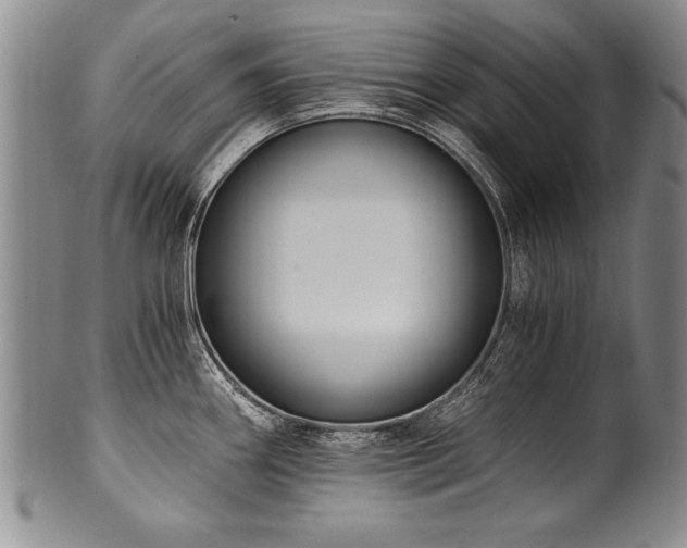 X0000101111290200806261404