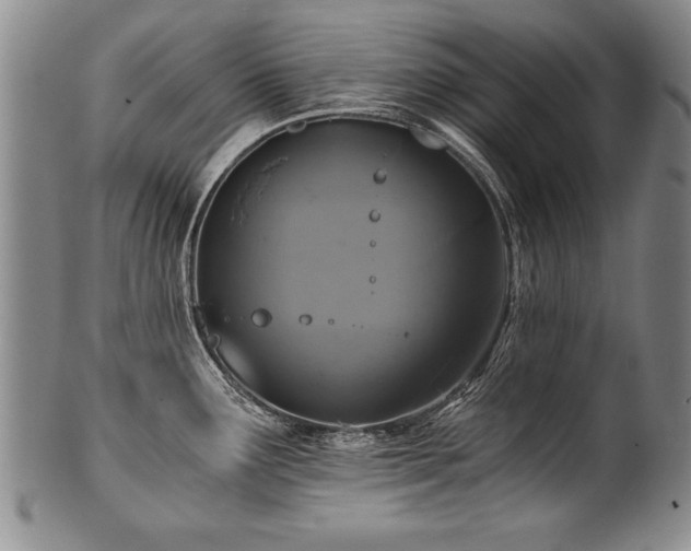 X0000101111291200806261404