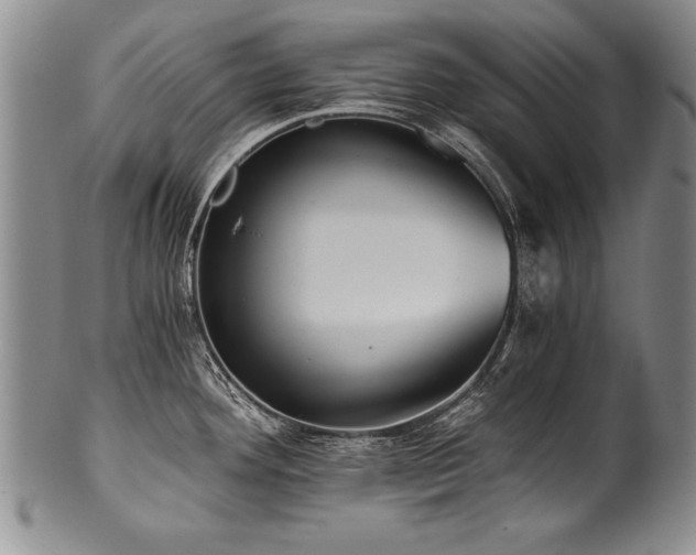 X0000101111292200806261404