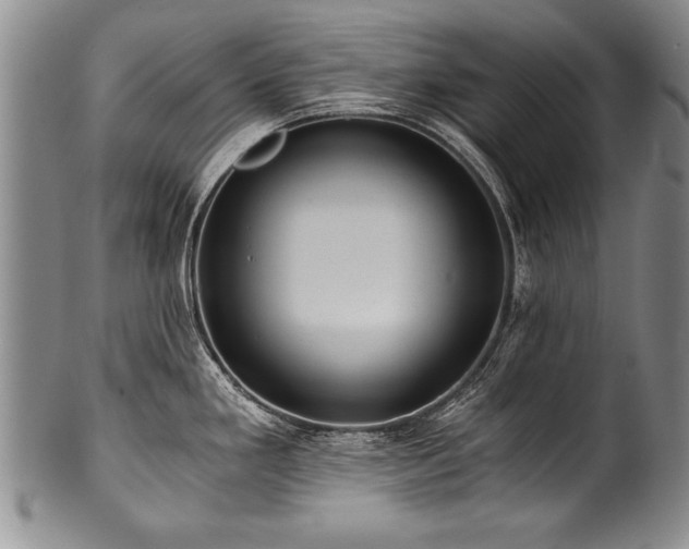 X0000101111293200806261404