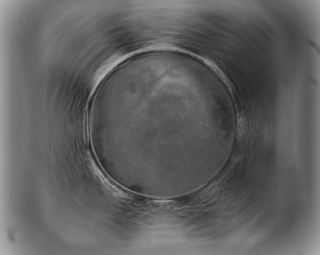 X0000101111295200806261403