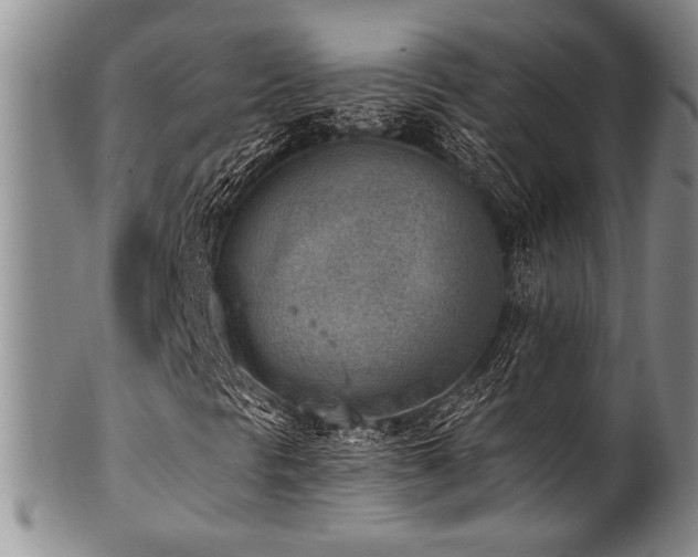 X0000101111297200806261403