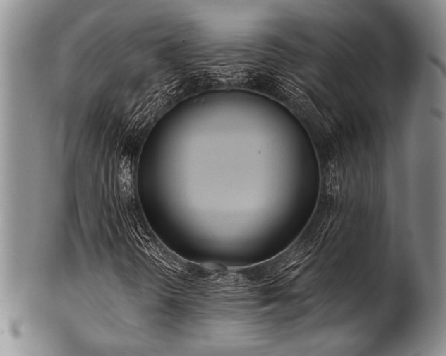 X0000101111298200806261403