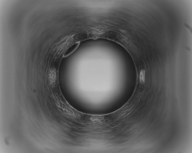 X0000101111299200806261403