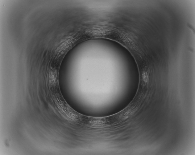 X0000101111300200806261403