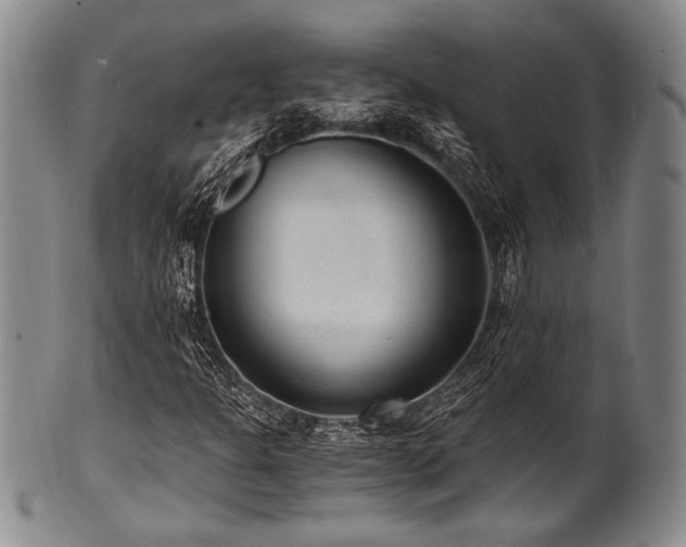 X0000101111301200806261403