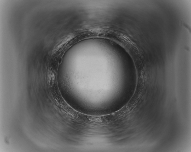 X0000101111302200806261403