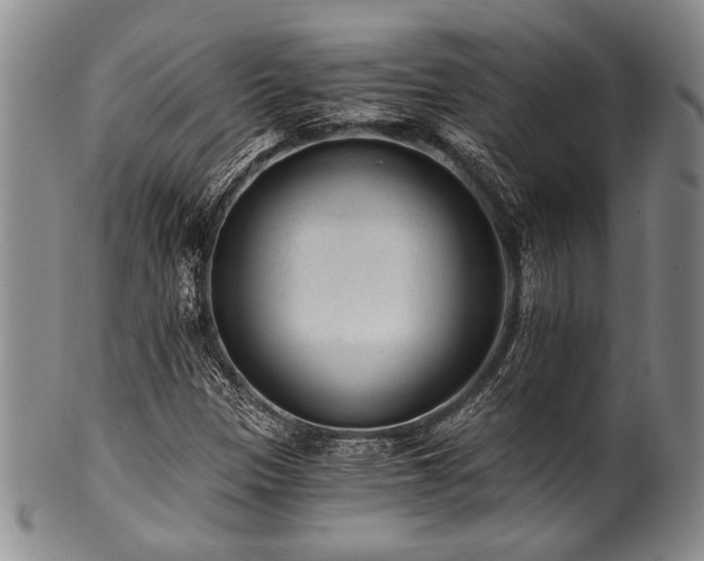 X0000101111305200806261403