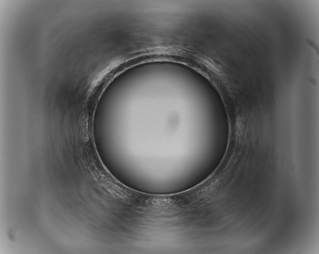 X0000101111310200806261403