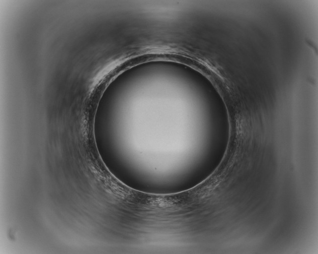 X0000101111311200806261403
