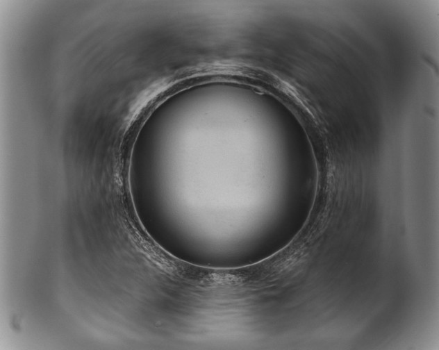 X0000101111312200806261403