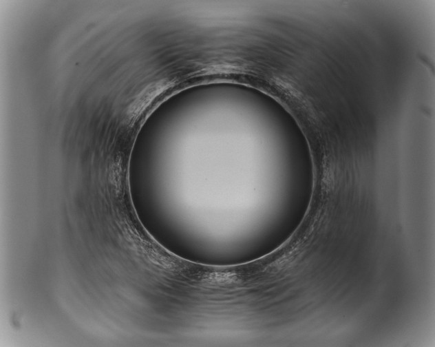 X0000101111313200806261403