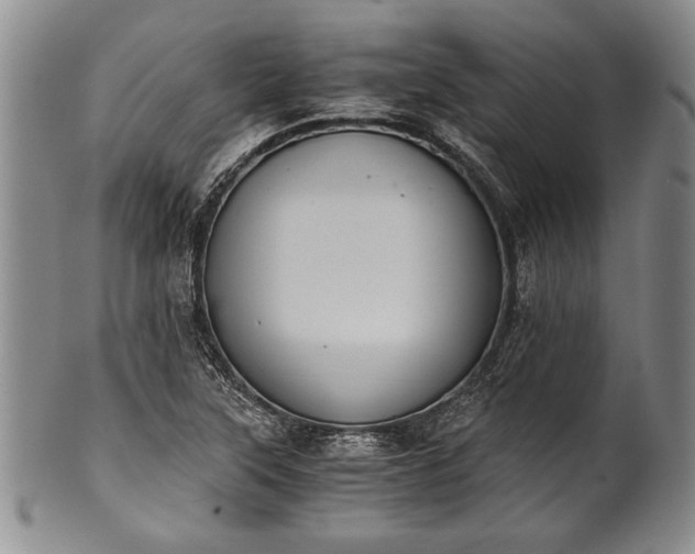 X0000101111315200806261403
