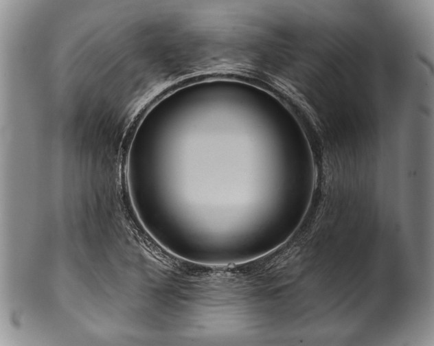 X0000101111316200806261403