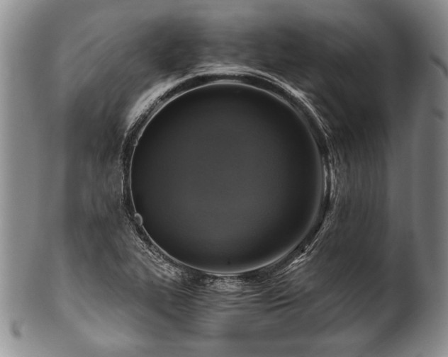 X0000101111319200806261403