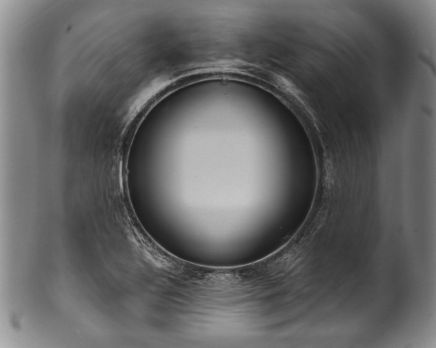 X0000101111320200806261403