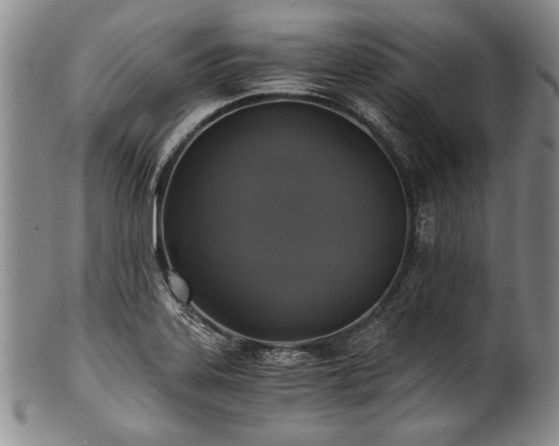 X0000101111323200806261403