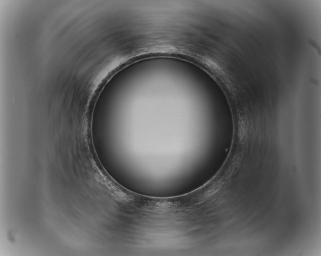 X0000101111326200806261403