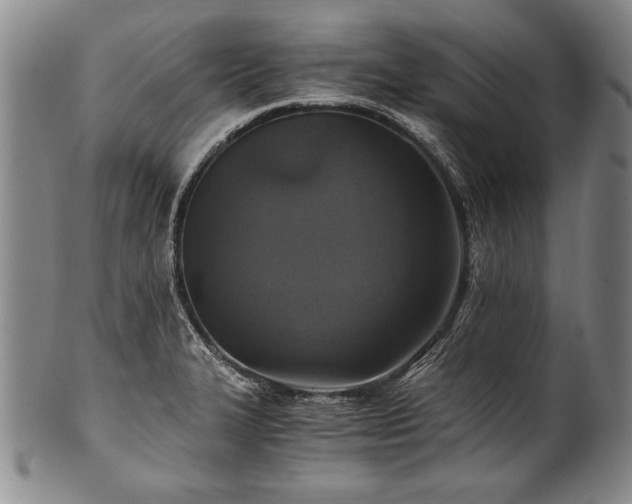 X0000101111327200806261403