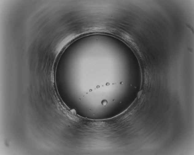 X0000101111328200806261403