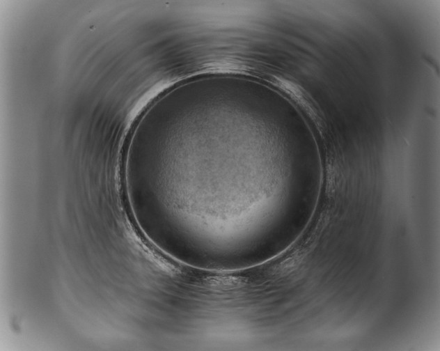 X0000101111331200806261403