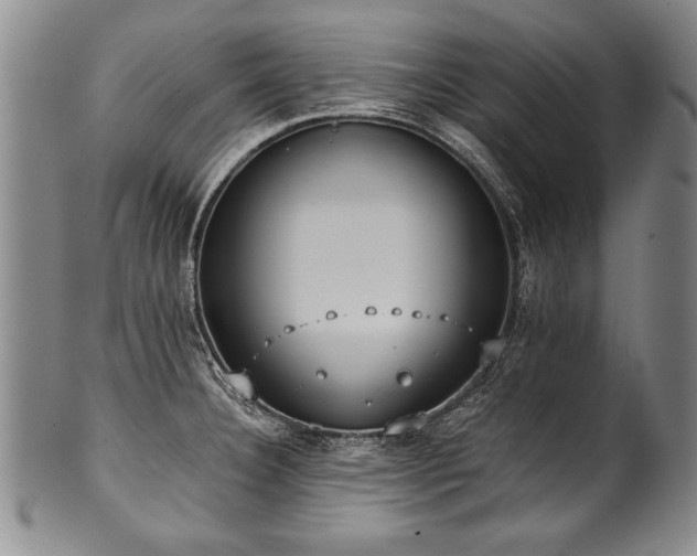 X0000101111332200806261403