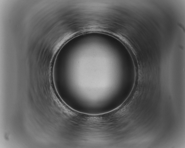X0000101111333200806261403
