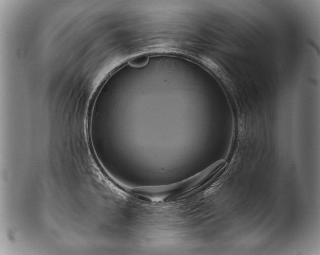 X0000101111334200806261403