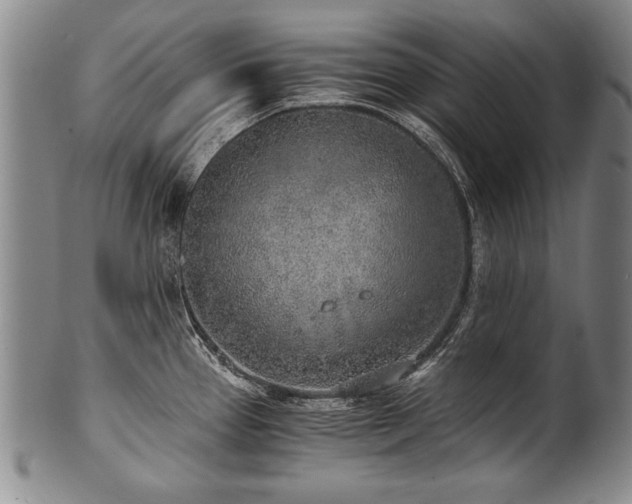 X0000101111337200806261403
