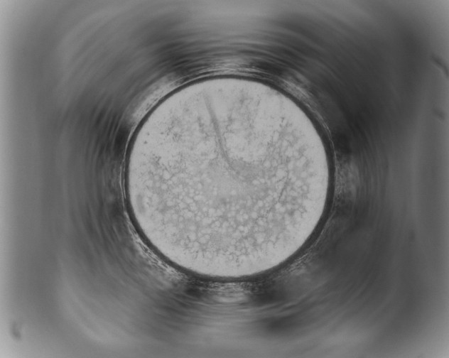 X0000101111338200806261403