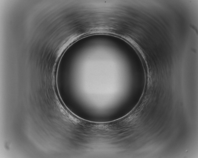 X0000101111341200806261403