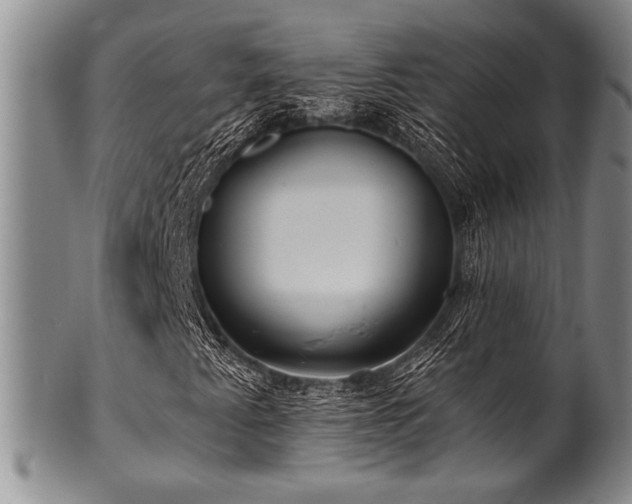 X0000101111345200806261403