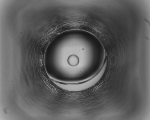 X0000101111348200806261403