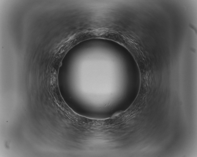 X0000101111349200806261403