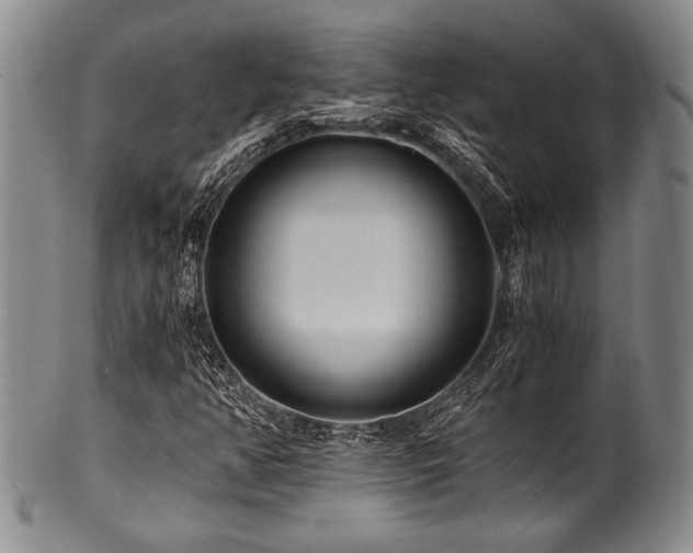 X0000101111350200806261403