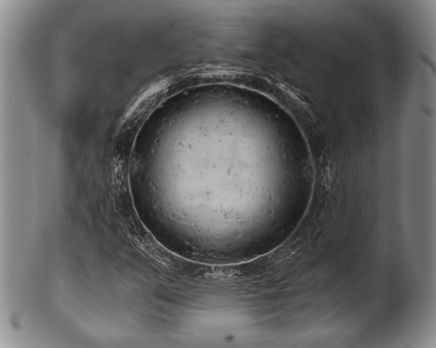 X0000101111351200806261403