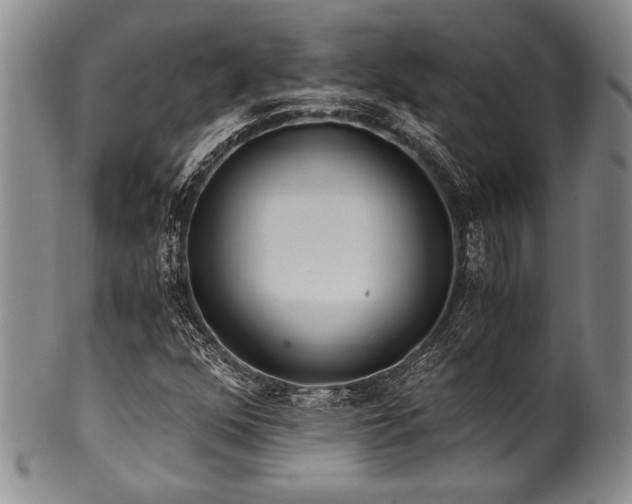 X0000101111352200806261403