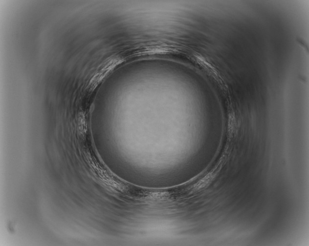 X0000101111353200806261403