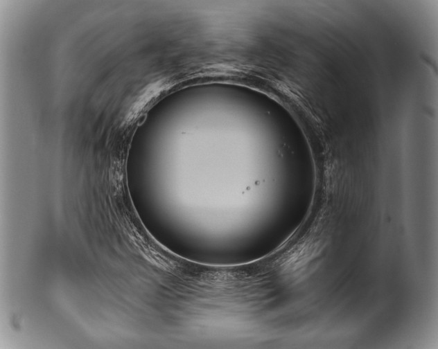 X0000101111355200806261403