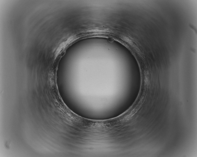 X0000101111357200806261403